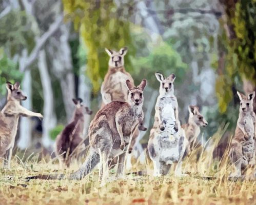 Eastern Kangaroos Paint By Numbers