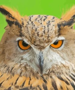 Eurasian Owl Bird Paint By Numbers