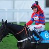 Sprinter Sacre Paint By Numbers