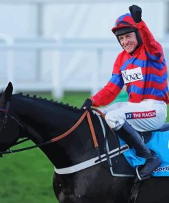 Sprinter Sacre Paint By Numbers