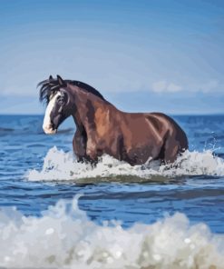 Horse At Beach Paint By Numbers