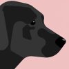 Black Labrador Paint By Numbers