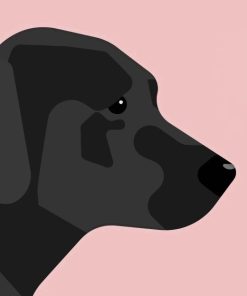 Black Labrador Paint By Numbers