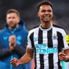 Jacob Murphy Paint By Numbers