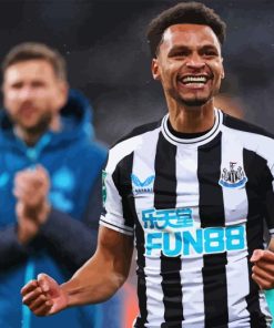 Jacob Murphy Paint By Numbers