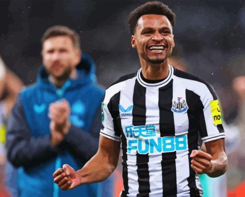 Jacob Murphy Paint By Numbers