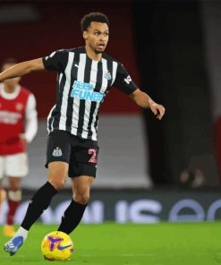 Player Jacob Murphy Paint By Numbers