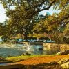 Lady Bird Lake Paint By Numbers