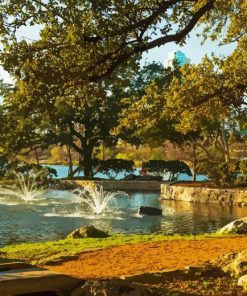 Lady Bird Lake Paint By Numbers