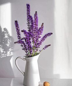 Lavender Flower Paint By Numbers