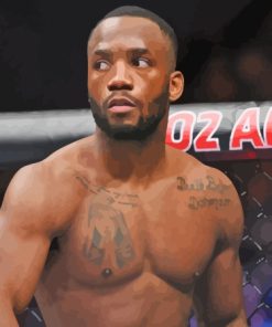 Leon Edwards Paint By Numbers