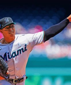 Miami Marlins Paint By Numbers