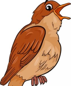 Nightingale Cartoon Paint By Numbers