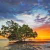 Nudgee Beach Paint By Numbers