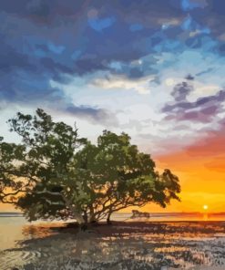 Nudgee Beach Paint By Numbers