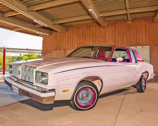 Pink Cutlass Supreme Paint By Numbers