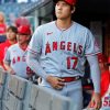 Shohei Ohtani Paint By Numbers