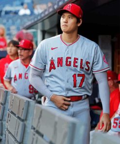 Shohei Ohtani Paint By Numbers