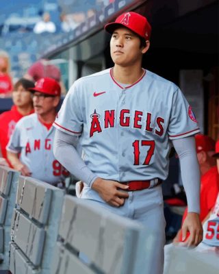 Shohei Ohtani Paint By Numbers