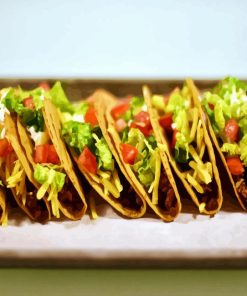 Tex Mex Tacos Paint By Numbers