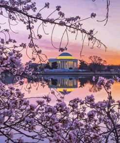 Cherry Blossoms Washington Paint By Numbers