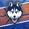 UConn Huskies Logo Paint By Numbers