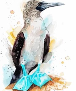 Blue Footed Booby Paint By Numbers