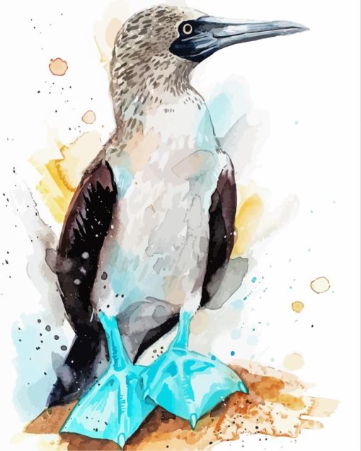 Blue Footed Booby Paint By Numbers