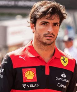 Carlos Sainz Jr Paint By Numbers