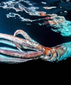 Giant Squid Paint By Numbers