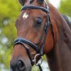 Horse With Bridle Paint By Numbers