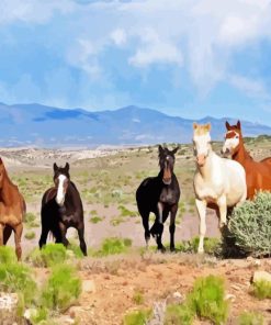 Horses In Arizona Paint By Numbers