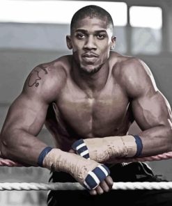 Anthony Joshua Paint By Numbers