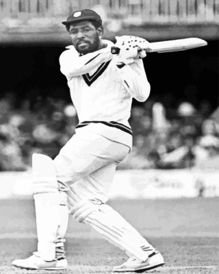 Viv Richards Player Paint By Numbers