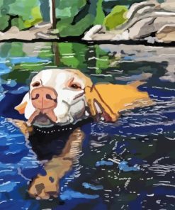 Dog Swimming Paint By Numbers