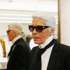 Karl Lagerfeld Paint By Numbers