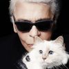 Karl Lagerfeld Cat Paint By Numbers