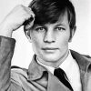 Michael York Paint By Numbers