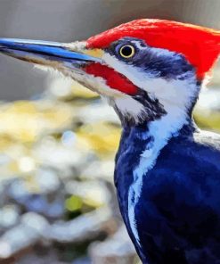 Pileated Woodpecker Paint By Numbers