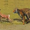 Tiger Hunting Deer Paint By Numbers