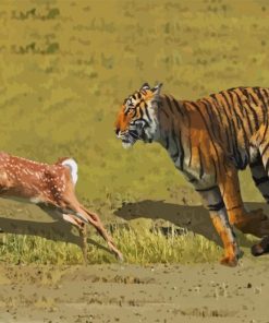 Tiger Hunting Deer Paint By Numbers