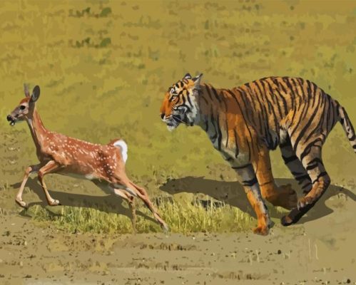 Tiger Hunting Deer Paint By Numbers