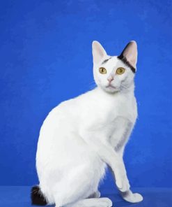 Japanese Bobtail Paint By Numbers