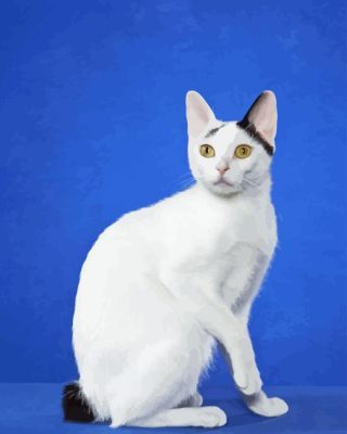 Japanese Bobtail Paint By Numbers