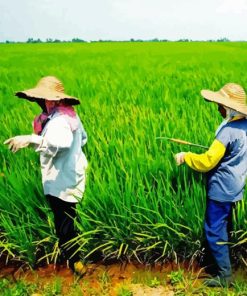 Sekinchan Padi Fields Paint By Numbers