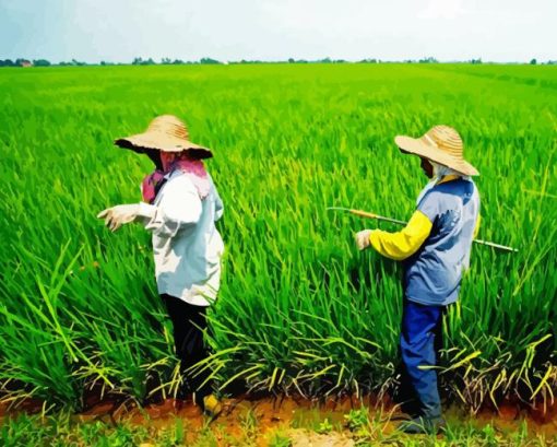 Sekinchan Padi Fields Paint By Numbers