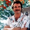 Young Tom Selleck Paint By Numbers