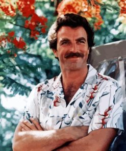 Young Tom Selleck Paint By Numbers