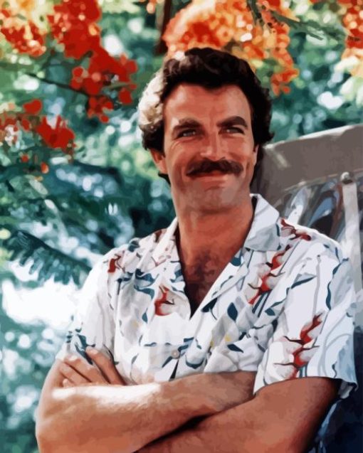 Young Tom Selleck Paint By Numbers