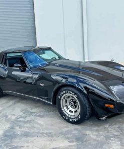 Black 79 Corvette Paint By Numbers